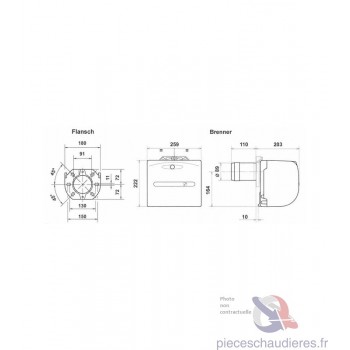 Brûleur BIOFIOUL RIELLO...